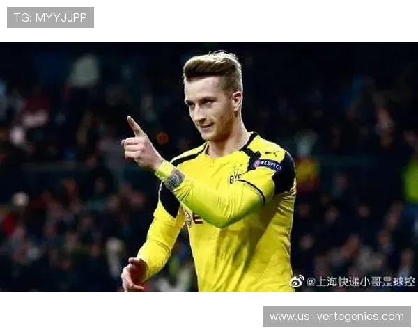 Z6尊龙真人国际用户评价与口碑分析：真实玩家体验分享与平台信誉评估